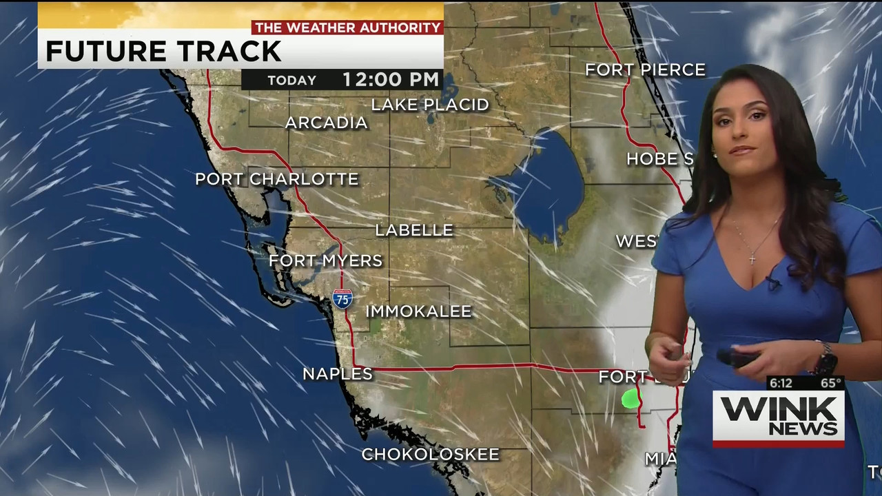 11.28 - 11.00.00 - WINK News This Morning..ts_snapshot_13.26.667