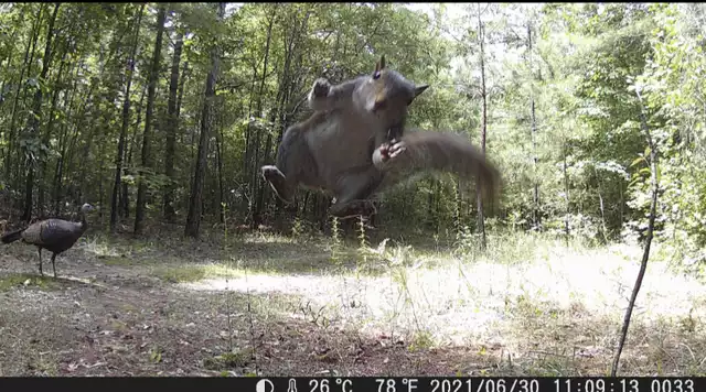 CB5D36F7-DA87-41CA-80AC-6108A47C2719