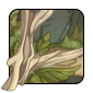 bleached-roots1.png