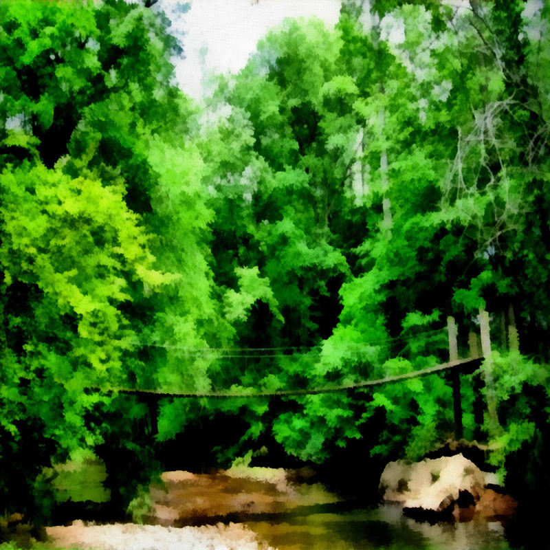 Into The Jungle Papers (14)