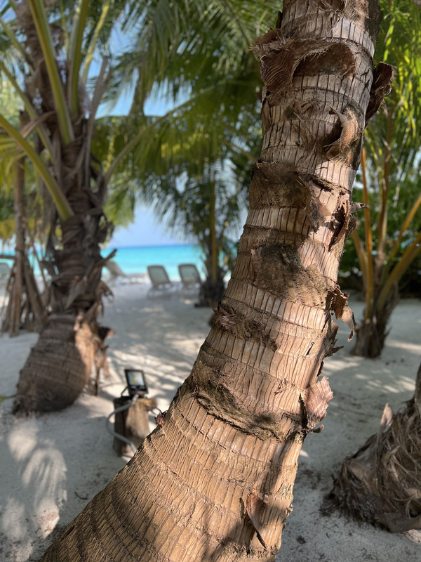 5546768C-E036-4B27-B002-4447B54E0D01