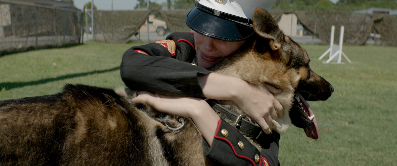 Megan Leavey 2017 (1080p x265 10bit Tigole).mkv_