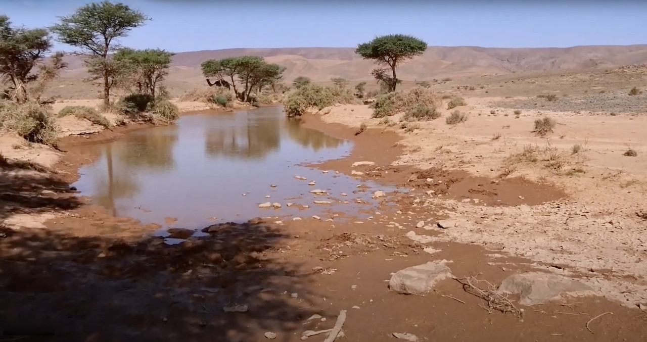 Esmara, un espejismo en el desierto - El Sahara Occidental (32)