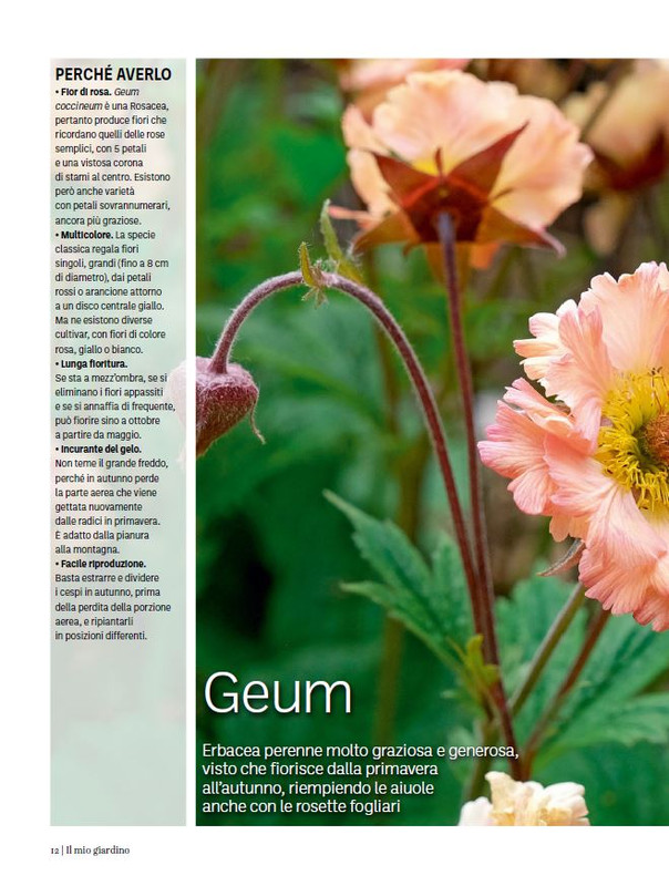 Il Mio Giar GIu-Lug 2024 (1)