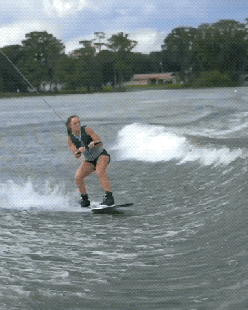 GIFs-1