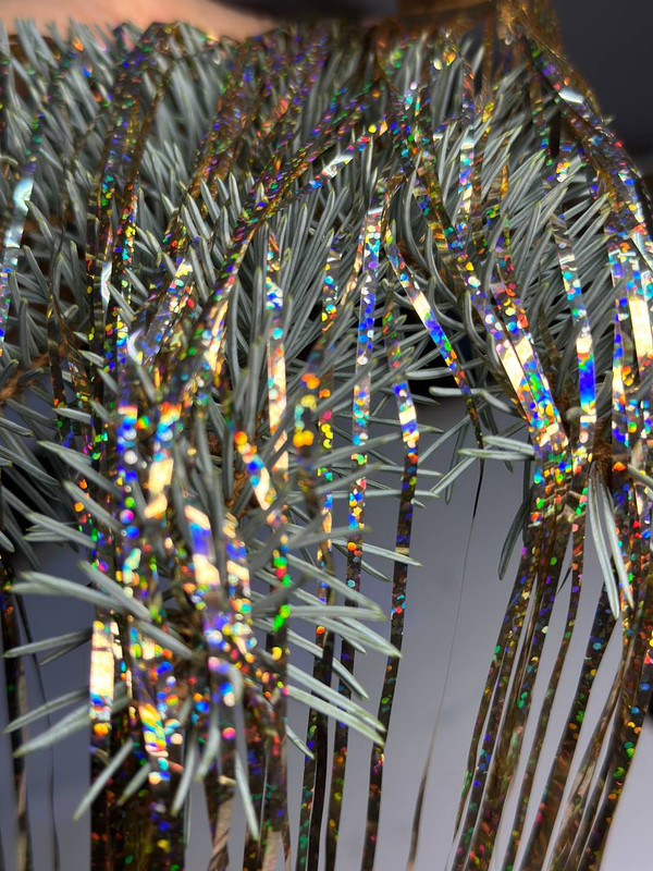 photo 2025 12 01 23 26 23