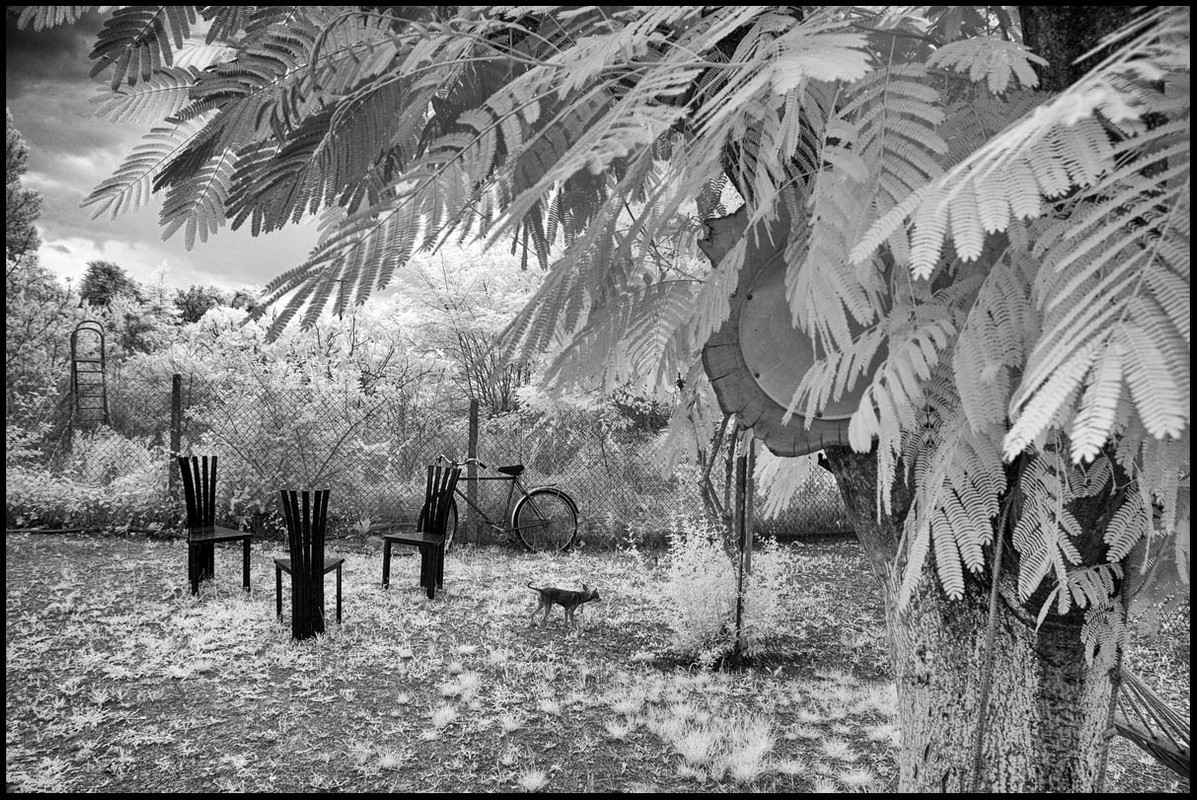 _DSC5088_00001_01_final_silver_efex_24_small