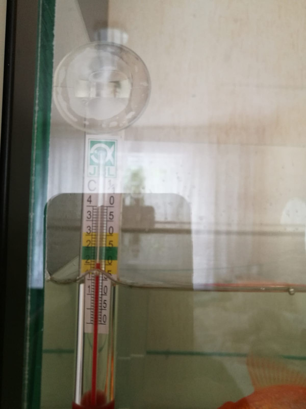 WhatsApp Image 2018-09-25 at 20.08.46(2)