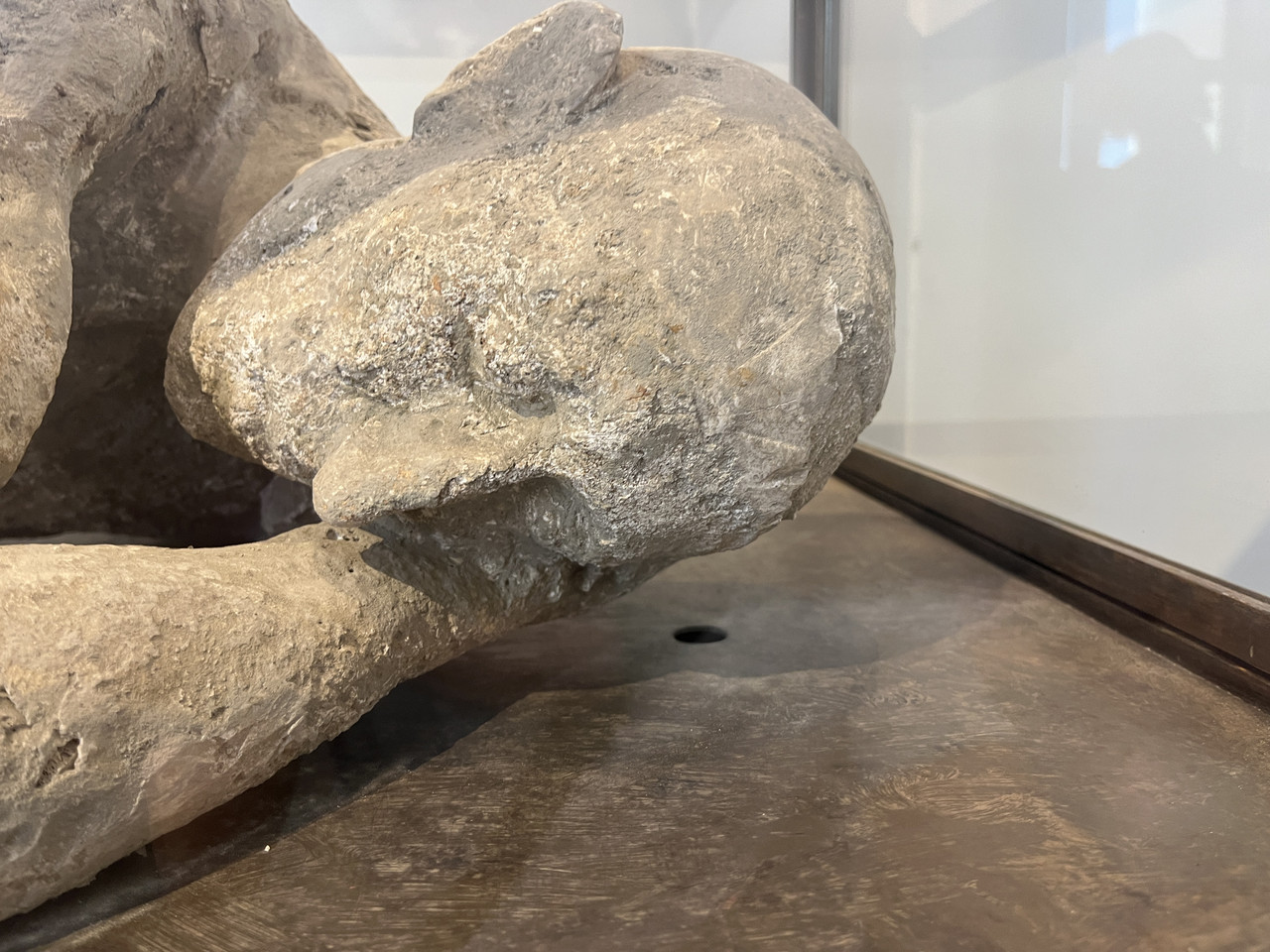 20230703 121638957 i OS