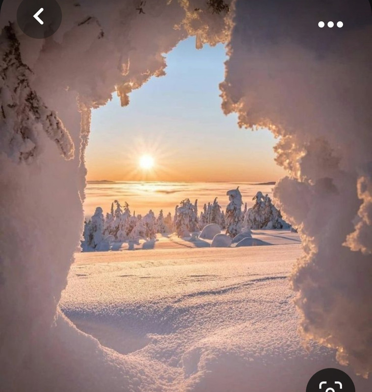 Screenshot_20230927_233128_Pinterest