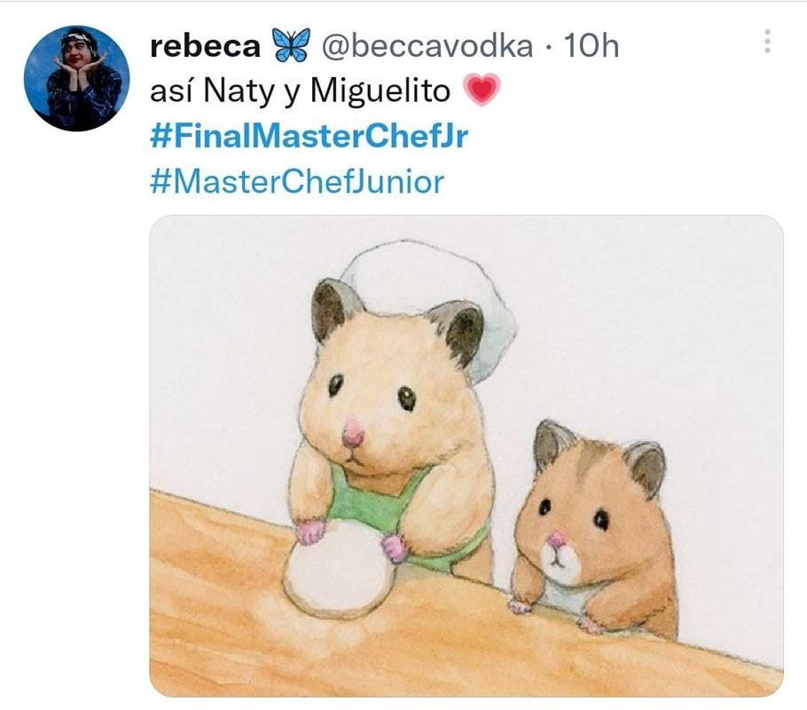 Final de MasterChef Junior México desata memes; hermano de Naty se robó el show