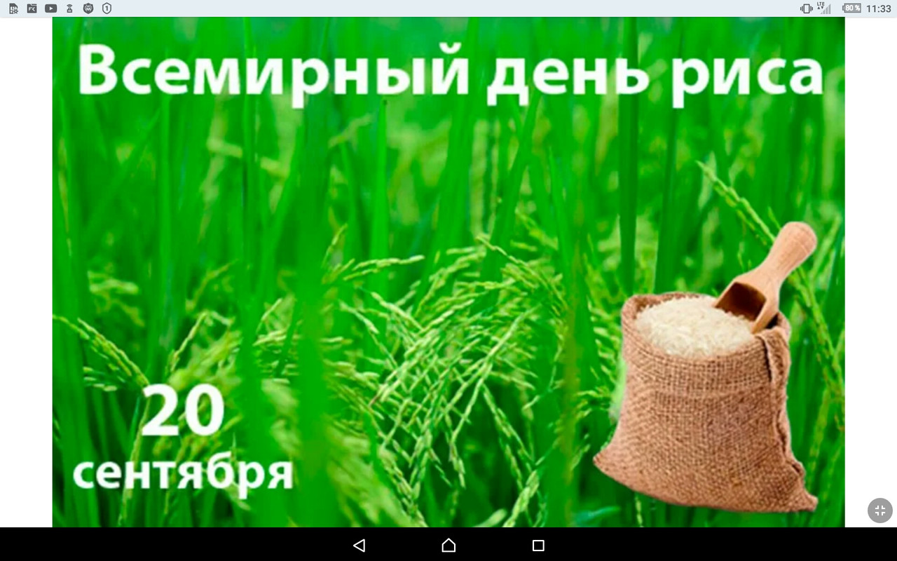 Screenshot_2022-09-20-11-33-46