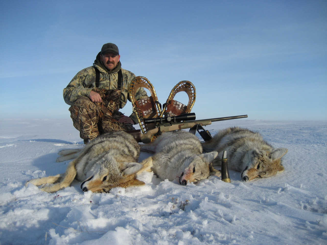 triple snow shoe
