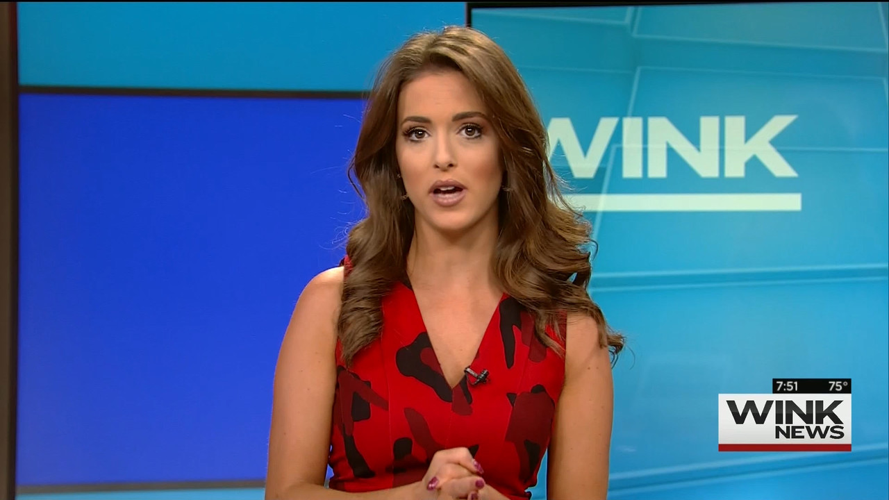 10.25 - 10.00.00 - WINK News @ 6 00AM Sunday..ts_snapshot_52.26.783