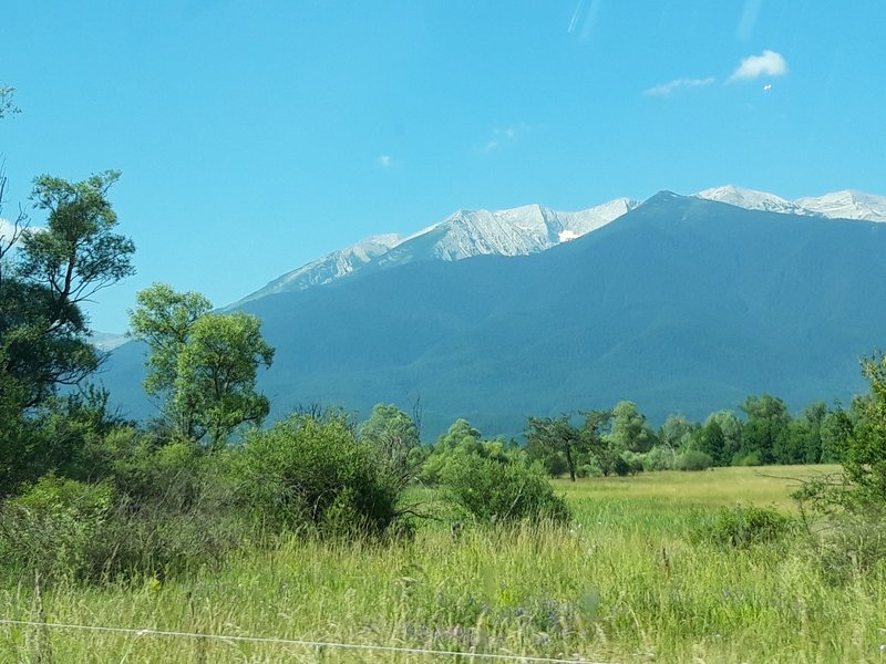 Slika