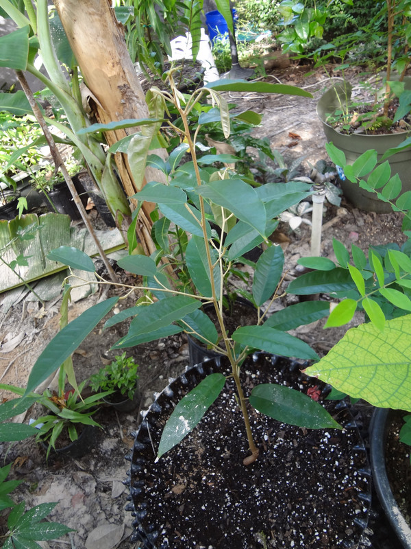 DSC02330