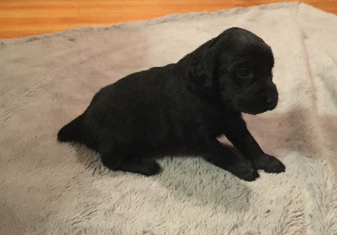 CD4E4F4D-CABD-4CB3-B8EF-823FB9791E40