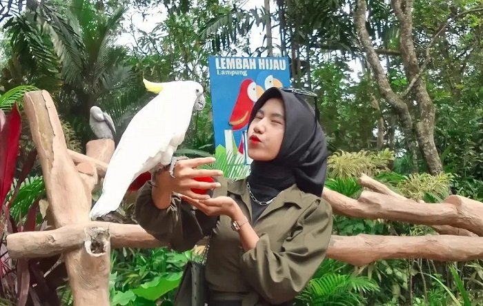 Lembaha Hijau Camp and Resort