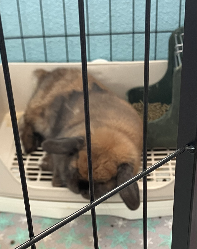 ACC85DEC-85D7-4F8D-A52E-358B65781E41