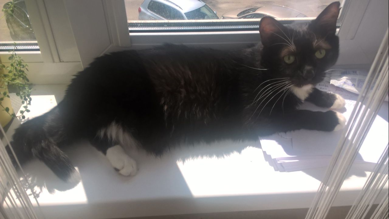 Крот поправился1