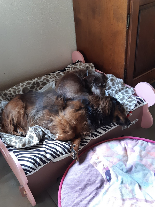 [Image: 20210508-163442.jpg]