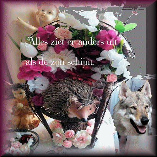 button-1-aug-2021.gif