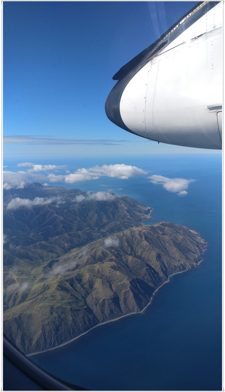 Escapadas y rutas por la Nueva Zelanda menos conocida - Blogs de Nueva Zelanda - Wellington más allá del Te Papa y el Cable Car (23)