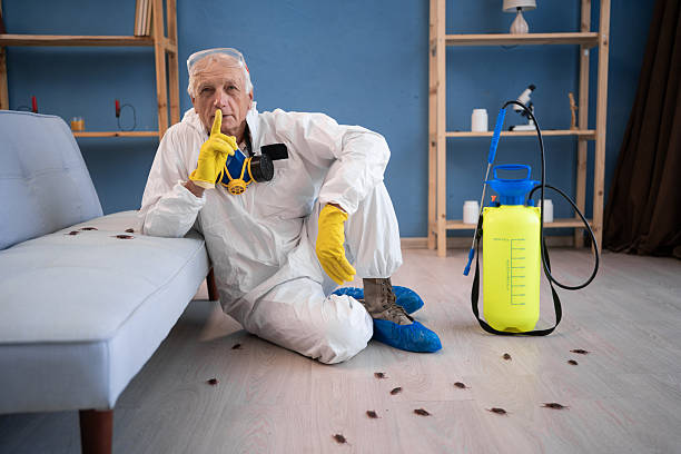 General Insect Control