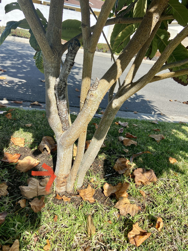 843A4B3C-D018-4958-976F-D6DB813E0F1D