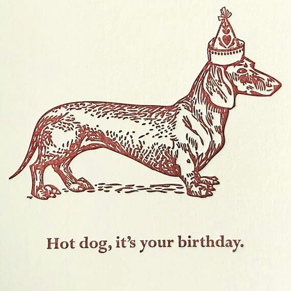 [Image: f7b8abf9-d2c1-4182-85ff-d655c5d4483a.jpg]