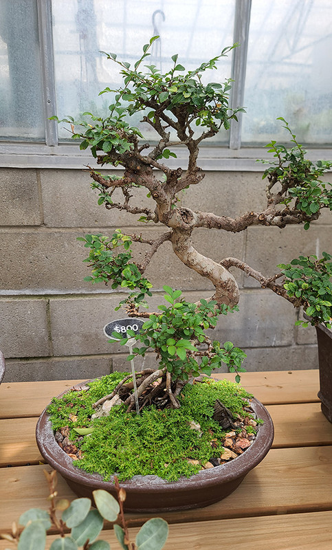 [Image: 20240723-122630.jpg]