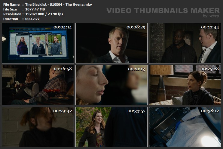 The Blacklist - S10E04 - The Hyena.mkv