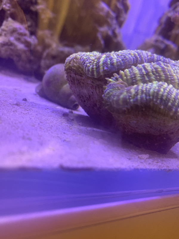 C142DED2-242E-4B7D-A4B5-0228004A20AD