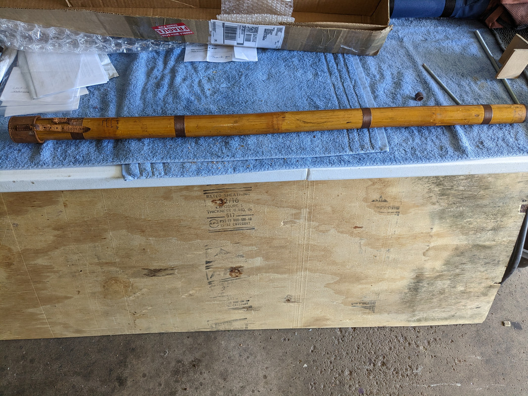 PXL_20230412_194034348