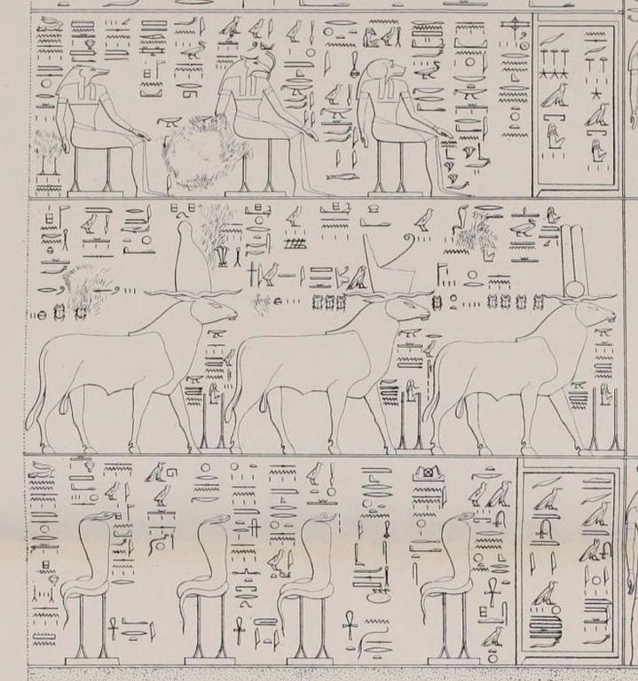 Ленивый Египет (Хургада, Луксор, Каир), декабрь 2025 - январь 2026