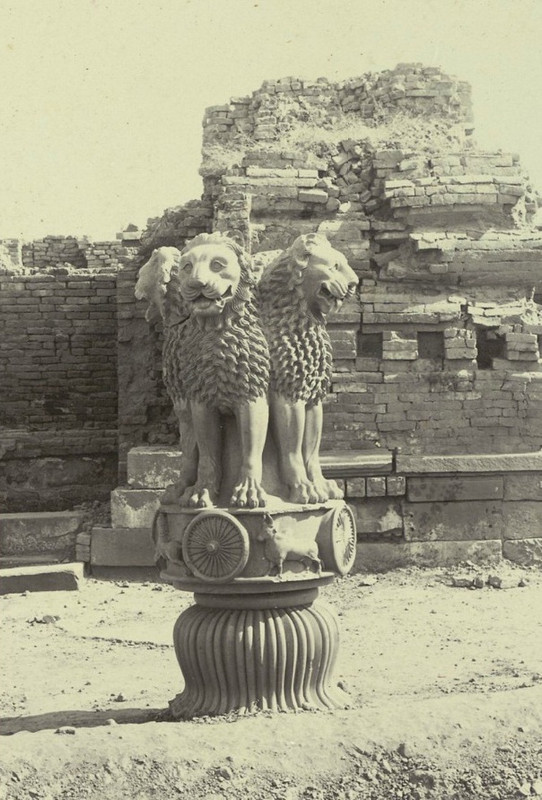 The-Lion-Sarnat-c-1905