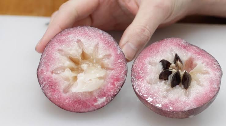 images - 2024-02-15T110722.968