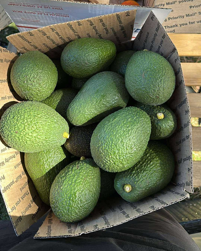 D1D98285-67C0-4E45-9522-EC44DED38D4F