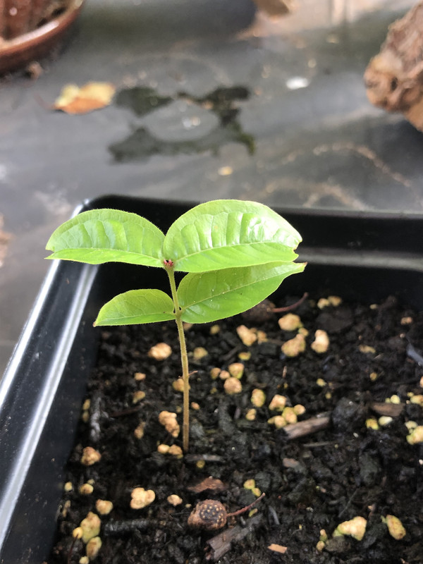 5EC1611F-567A-4438-8AA8-74D4C53360D2