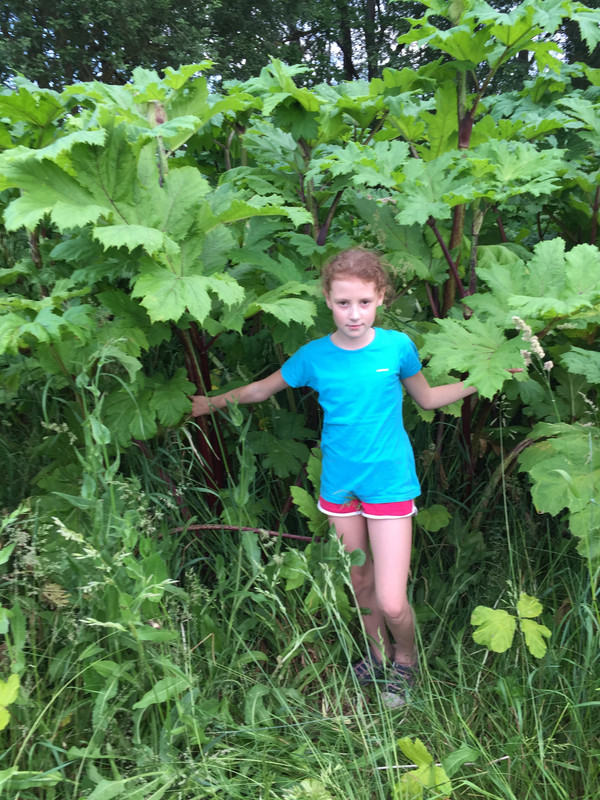 271262B0-FE18-446B-8DA9-65E88D1CC748