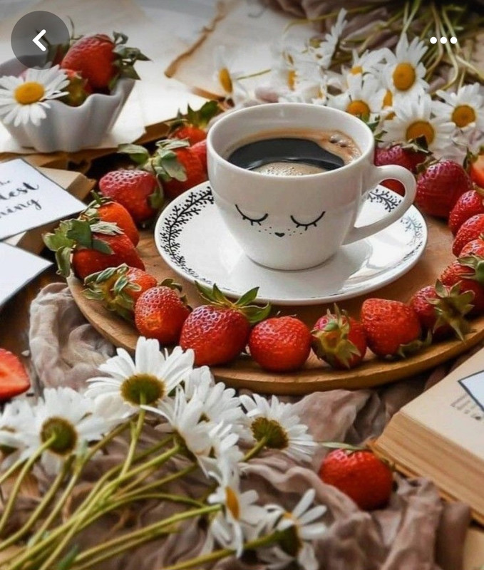 Screenshot_20240529_233438_Pinterest