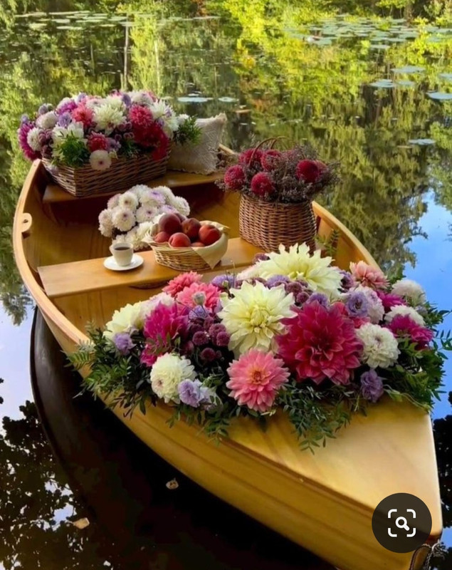 Screenshot_20230925_224438_Pinterest