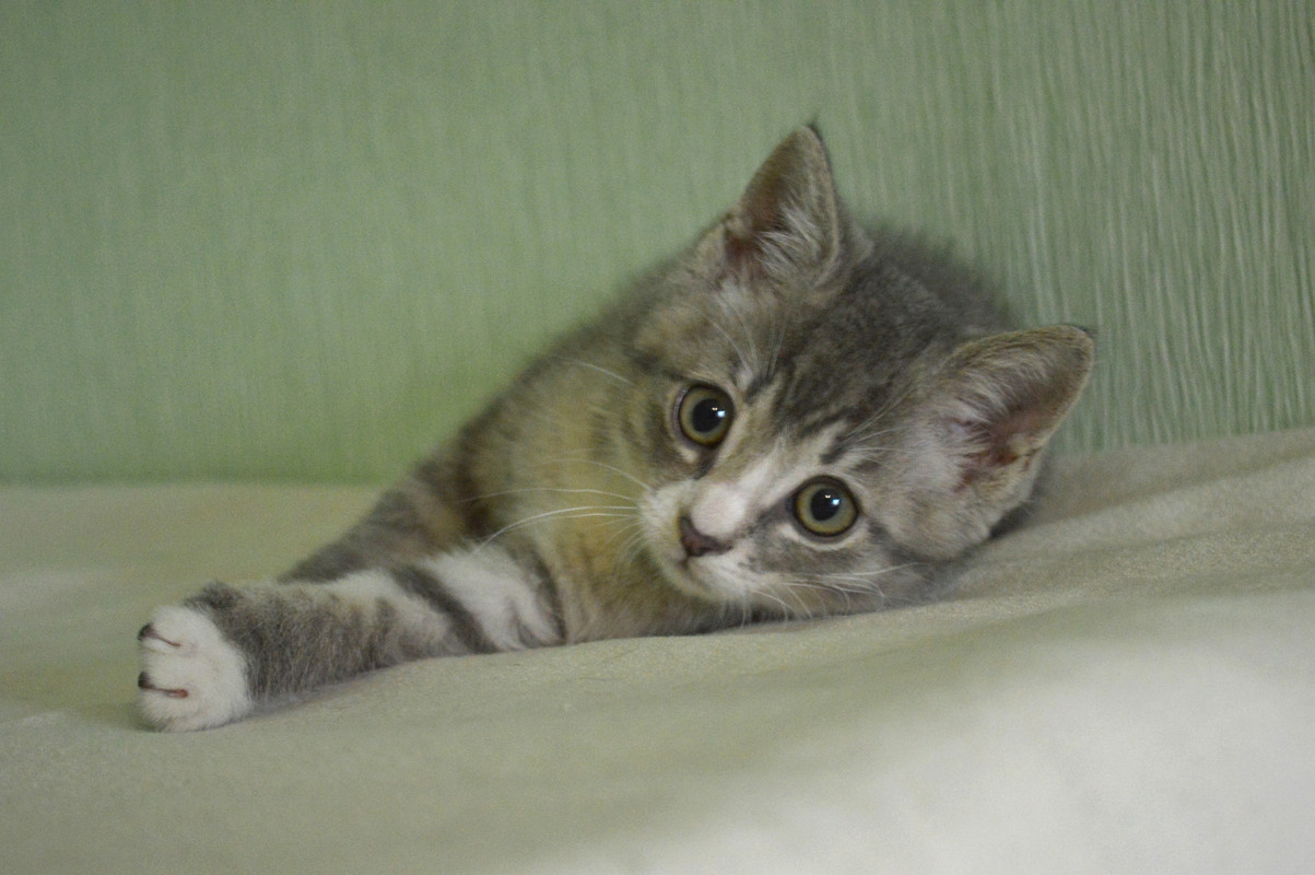 IMG_20250807_003221_edit_300783904076351