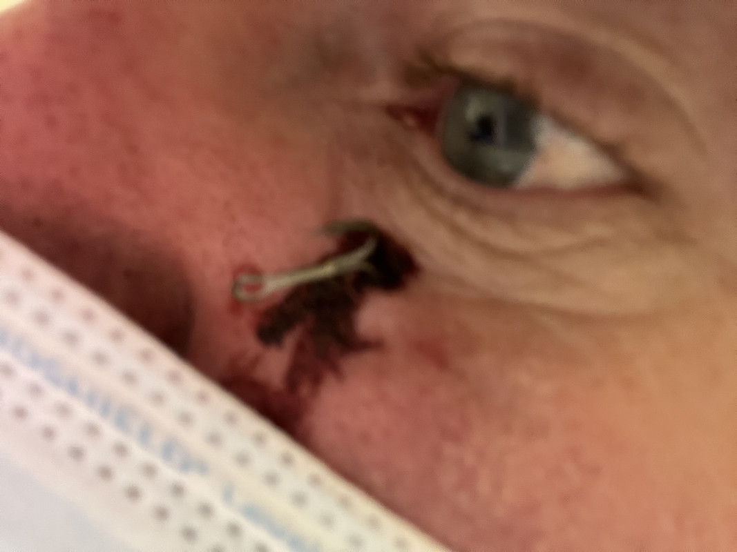 22AF14F1-B848-47D9-8457-66AB27036C13