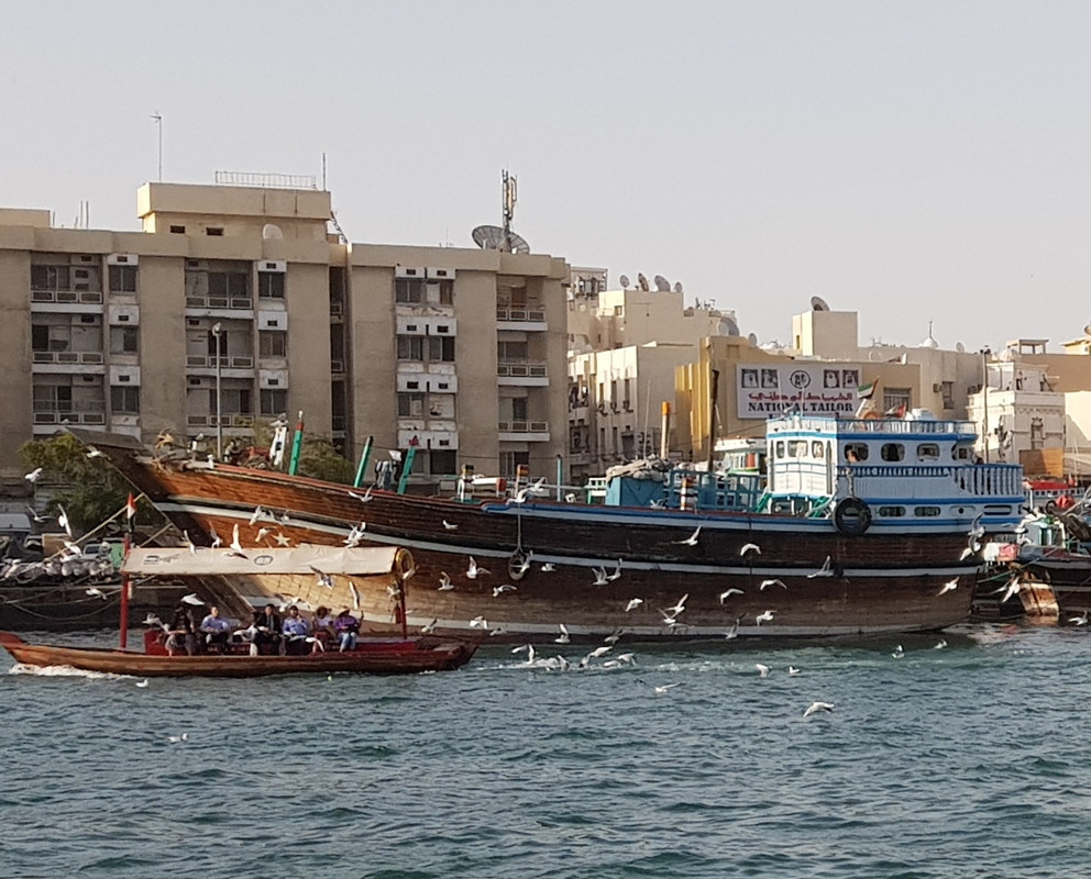 Копия 20200216_153653