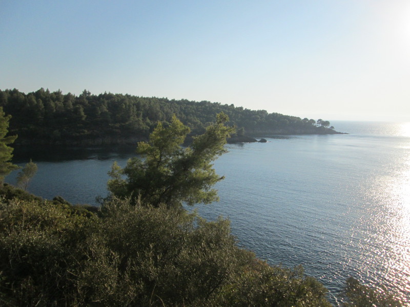 Slika