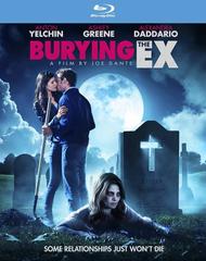 Sotterrando La Mia Ex (2014) WebDL 1080p E-AC3 ITA - ENG + SUB