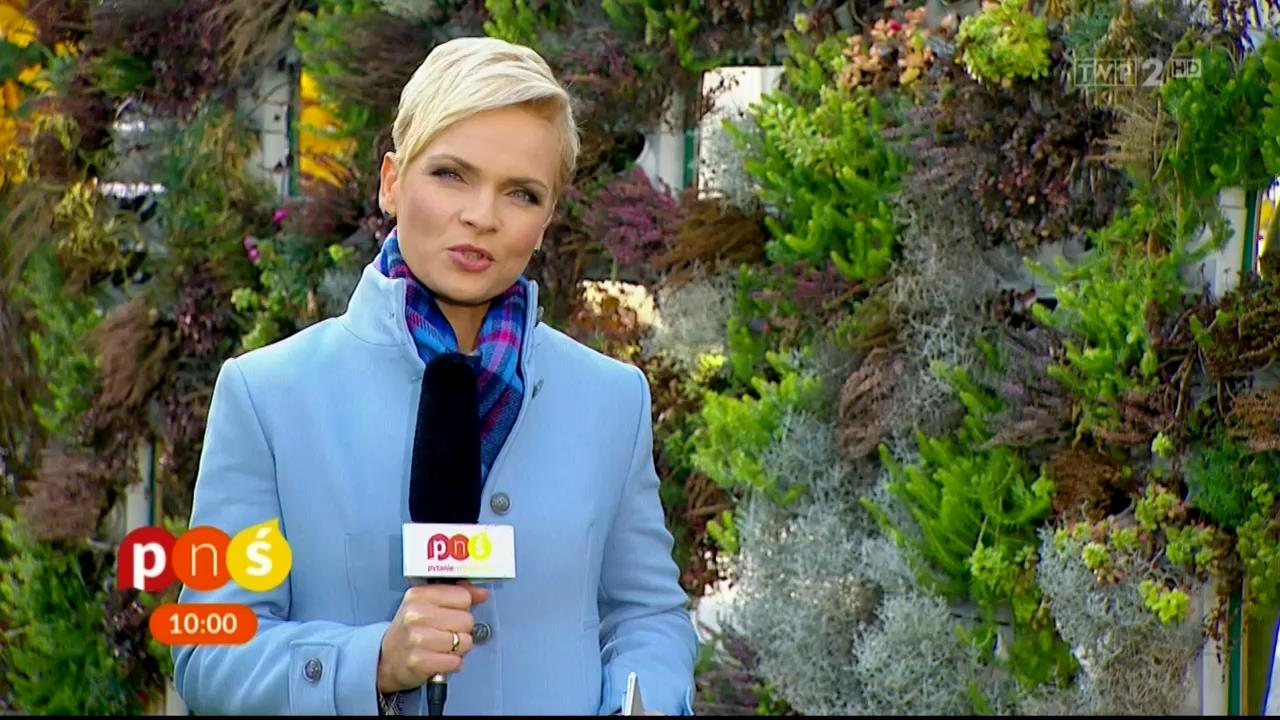 V0323_20181106_125403.mp4_snapshot_05.18_[2018.11.12_17.36.11]