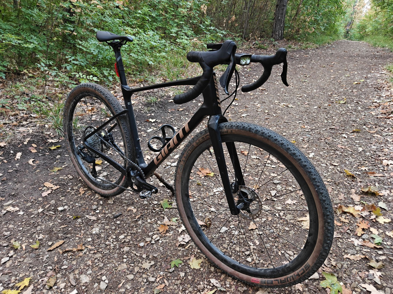giant4.jpg