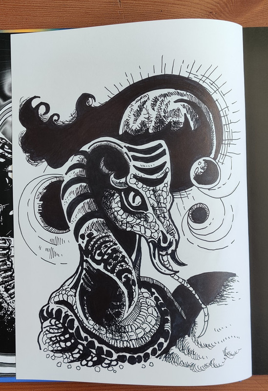 461076778_926078596230898_8847060634688991723_n